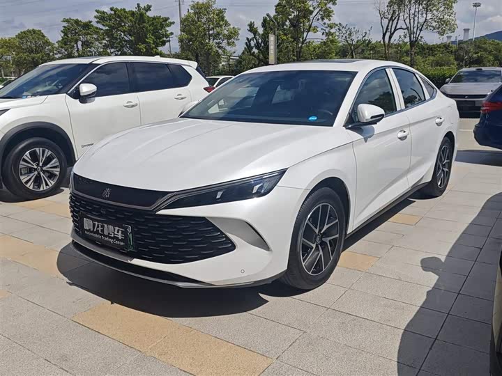 Qin L 2024 DM-i 120KM transcendent model