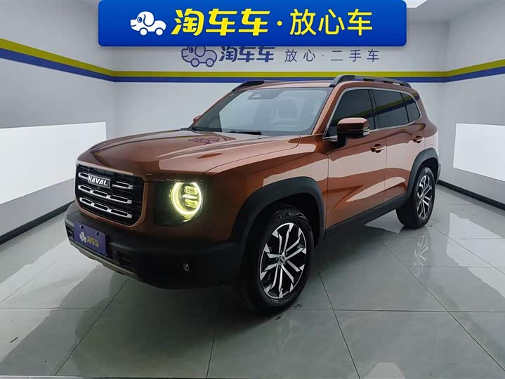 Haval Big Dog 2021 1.5T DCT two-wheel drive Border Collie version