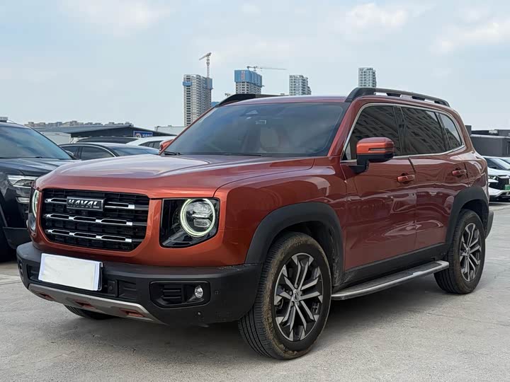 Haval Big Dog 2021 1.5T DCT two-wheel drive Border Collie-Wangcai Edition