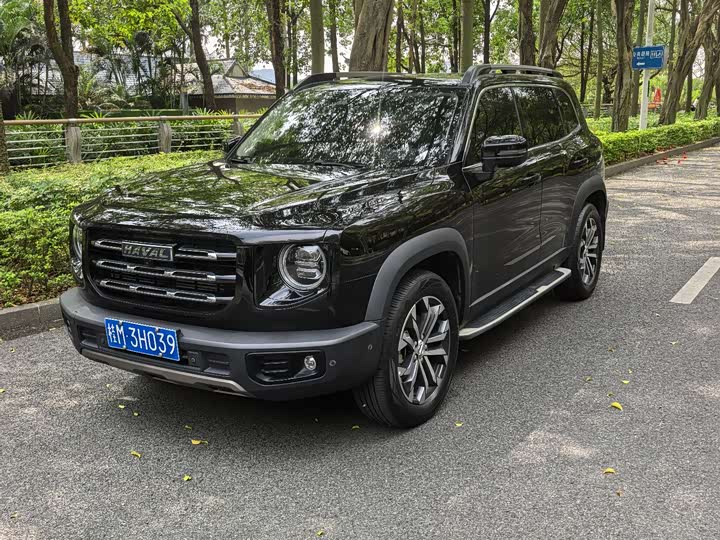 Haval Big Dog 2021 1.5T DCT two-wheel drive Border Collie-Wangcai Edition