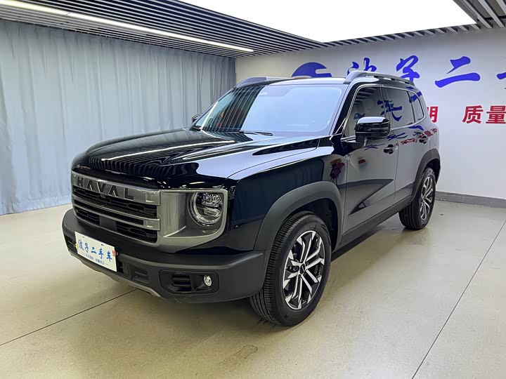 Haval Big Dog 2024 1.5T DCT Border Collie Edition