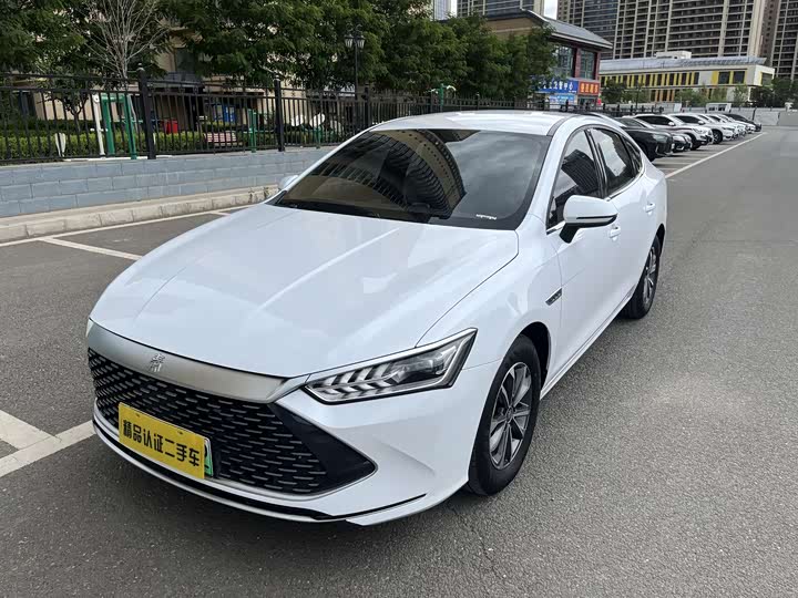 Qin PLUS 2024 Honor Edition DM-i 55KM Leading Type