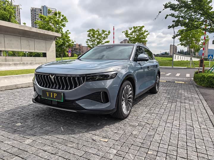 Lantu FREE 2021 four-wheel drive standard extended range exclusive luxury package
