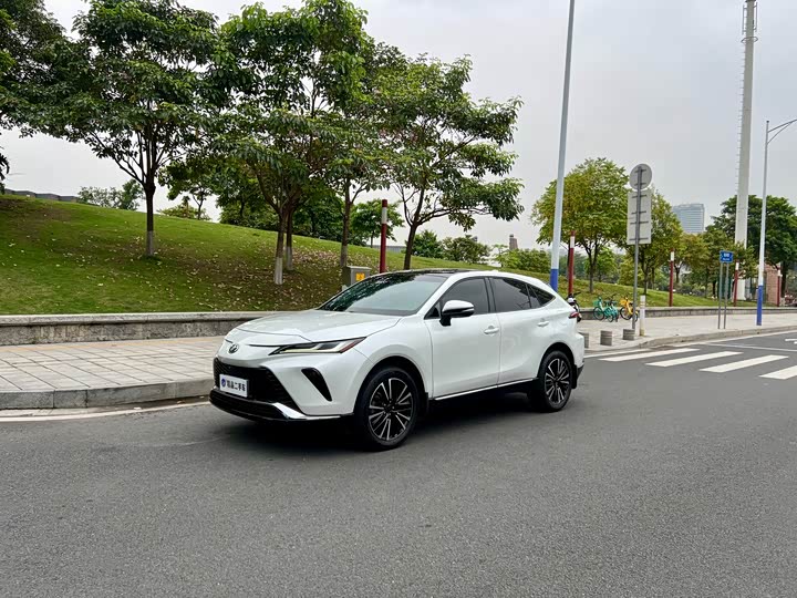 Vesa 2022 2.0L CVT two-wheel drive premium version