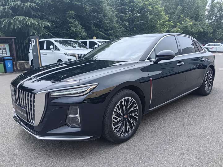 Hongqi H5 2024 2.0T Automatic Zhilianqichang Edition