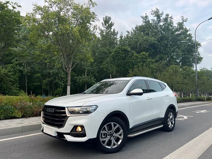 Haval H6 2021 National Fashion Edition 1.5T Automatic Champion Edition