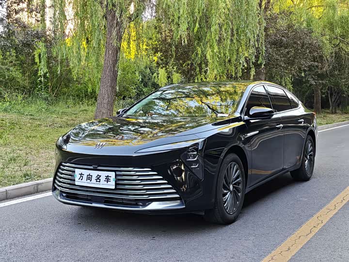 LaCrosse 2025 28T Platinum Edition
