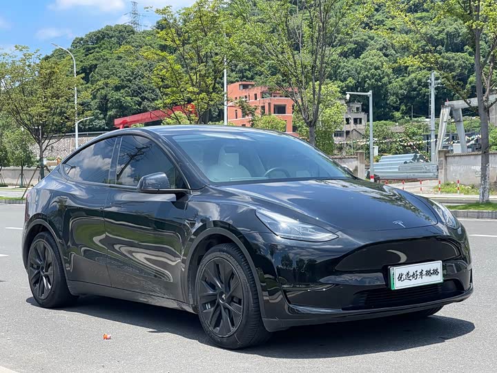 Model Y 2021 standard range rear-wheel drive version