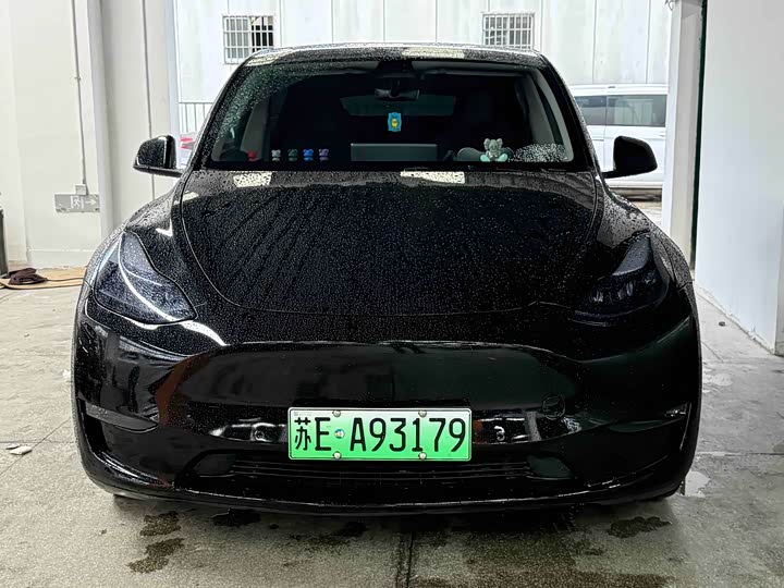 Model Y 2021 standard range rear-wheel drive version