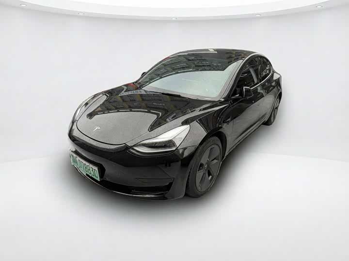 Model 3 2021 standard range rear drive upgraded version 3D6