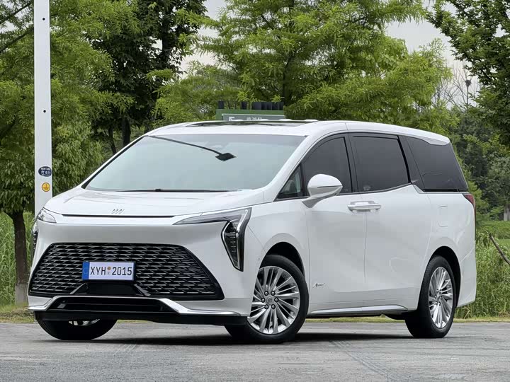 Century 2023 2.0T Six-Seater Yunshi Edition