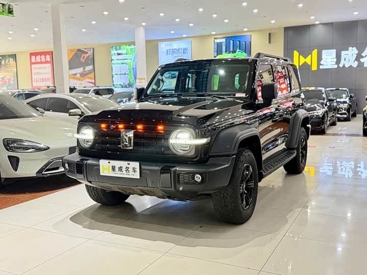 Tank 300 2023 Off-Road Version 2.0T Conqueror