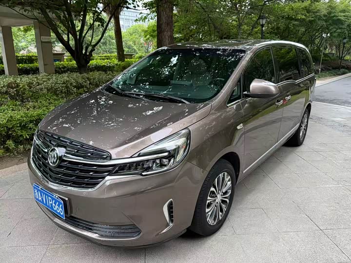 Buick GL8 2020 Land Business Class 652T Premium