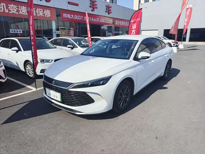 Qin L 2024 DM-i 80KM leading model