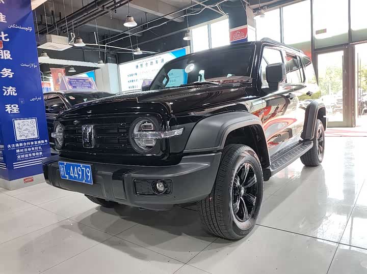 Tank 300 2025 2.0T Gasoline Conqueror