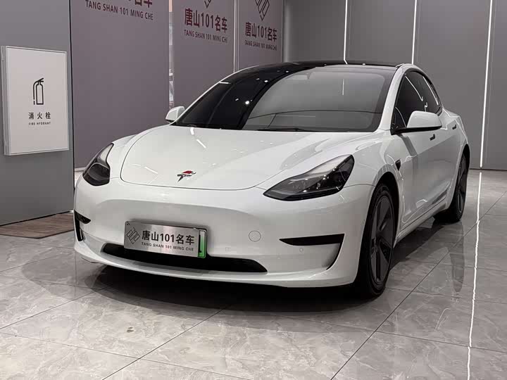 Model 3 2021 standard range rear drive upgraded version 3D6