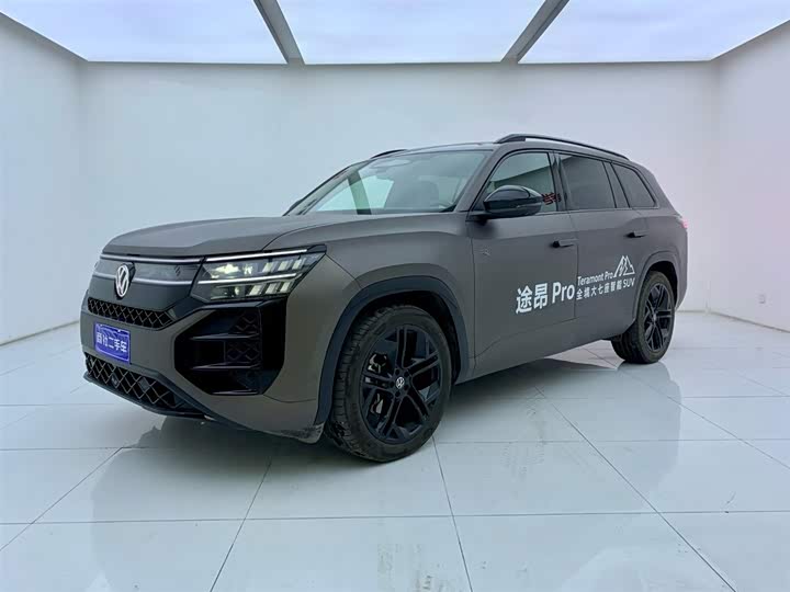 Touron 2025 Touron Pro 450TSI four-wheel drive peak version