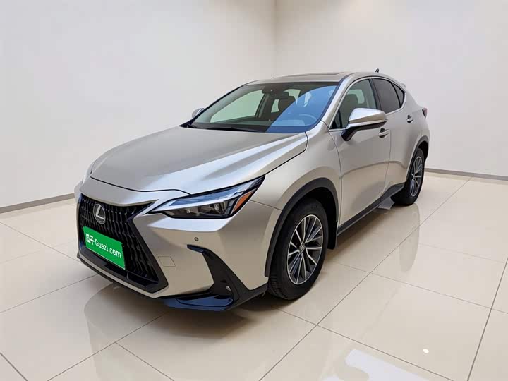 Lexus NX New Energy 2023 400h Changyue Edition