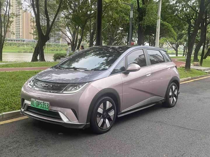 Dolphin 2021 401km Knight Edition