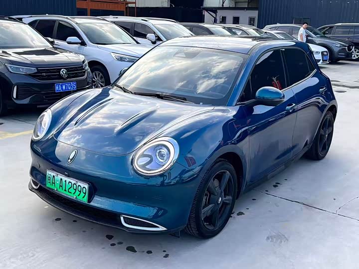 Euler Good Cat 2023 model 401km standard battery life luxury model lithium iron phosphate