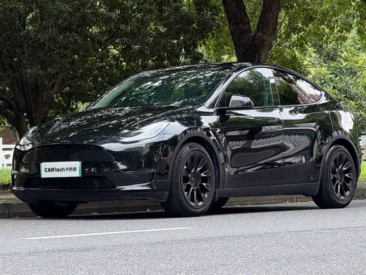 Model Y 2021 standard range rear-wheel drive version