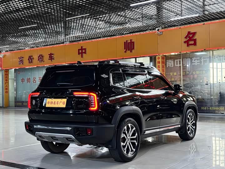 Havaldog 2022 2.0T DCT four-wheel drive Chinese pastoral dog hunting version