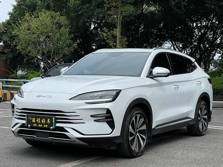 Song PLUS New Energy 2023 Champion Edition DM-i 110KM Flagship Model