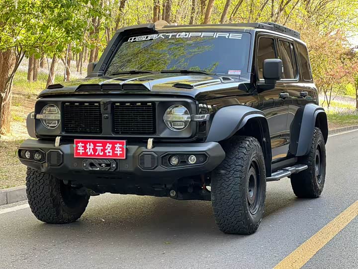 Tank 300 2023 2.0T Tieqi 02