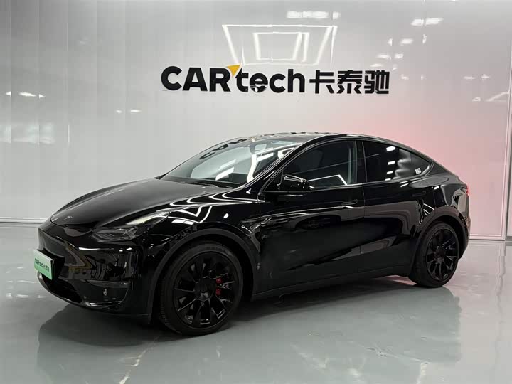 Model Y 2021 standard range rear-wheel drive version