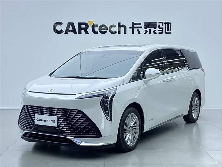 Century 2023 2.0T Six-Seater Yunshi Edition