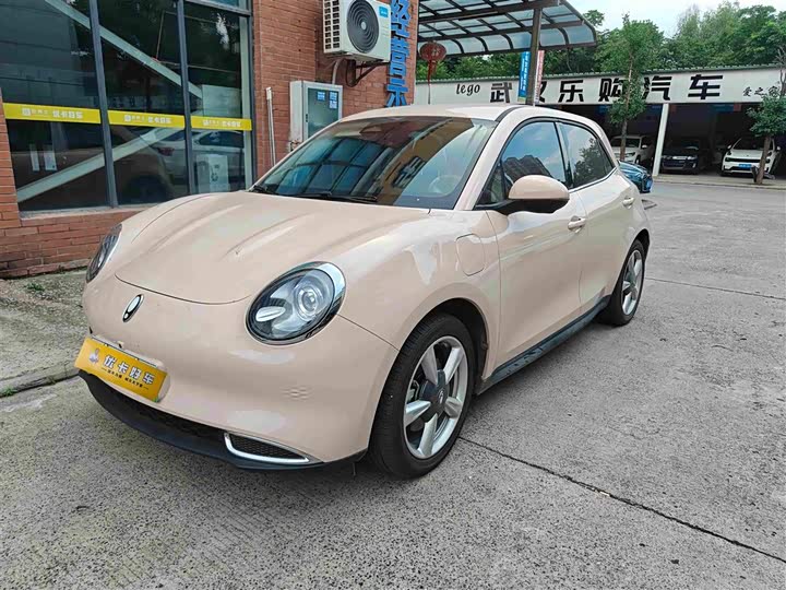 Euler Good Cat 2023 model 401km standard battery life luxury model lithium iron phosphate