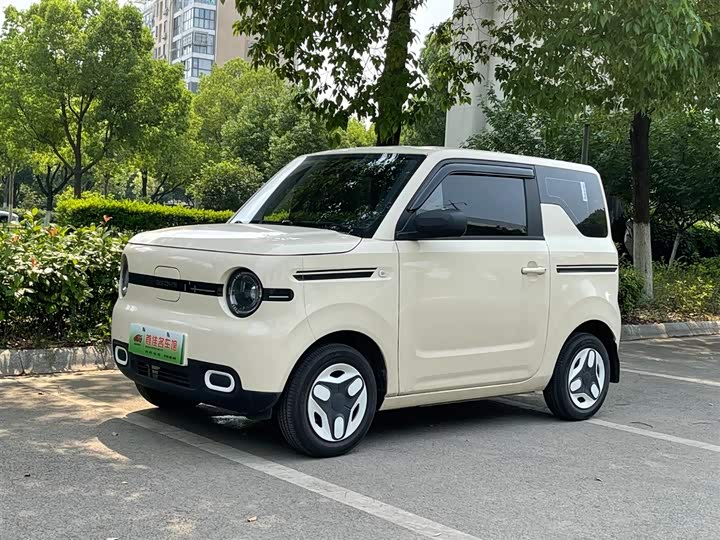 Geely Panda 2025 Panda mini 210km Yuanqi Edition