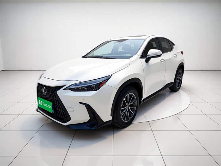 Lexus NX 2023 260 front-wheel drive Chuangyou Special Edition