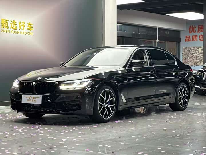 BMW 5 Series 2021 530Li Executive Luxury Package