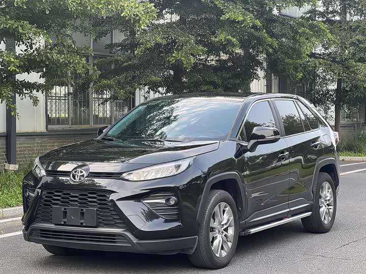 Wilanda 2024 2.0L CVT two-wheel drive leading version