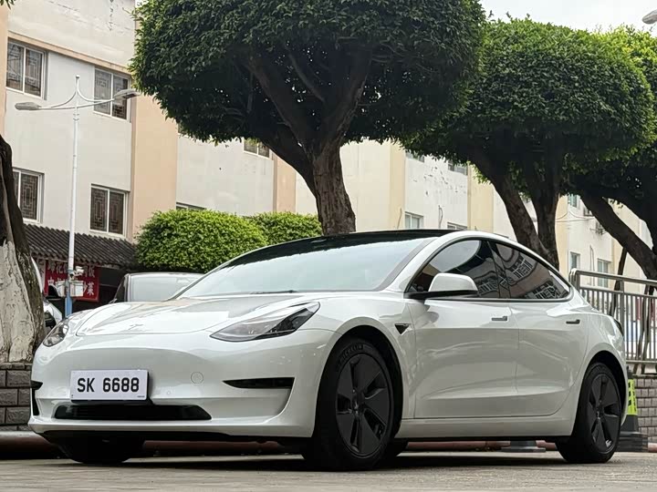 Model 3 2022 rear-wheel drive version