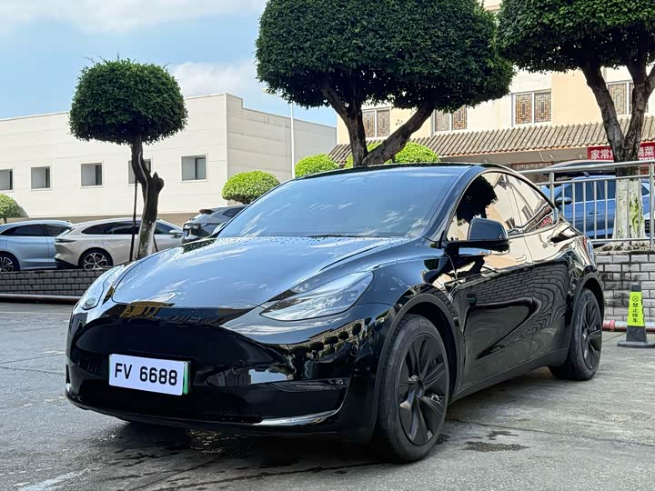 Model Y 2021 standard range rear-wheel drive version