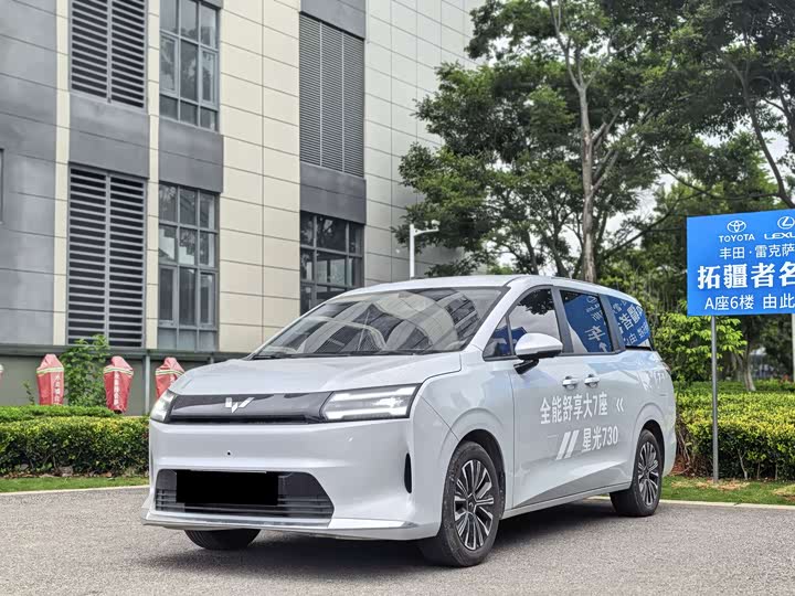 Starlight 730 New Energy 2025 pure electric 500km luxury model