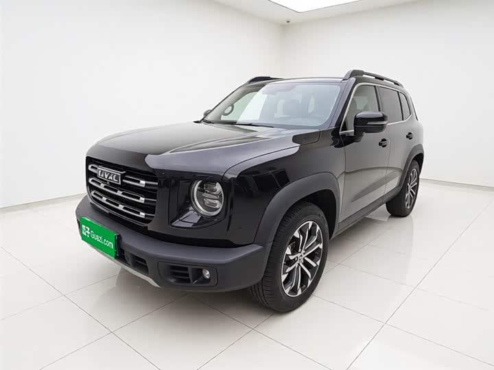 Haval Big Dog 2021 1.5T DCT two-wheel drive Border Collie version