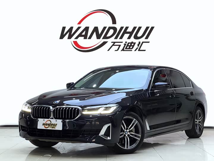 BMW 5 Series 2021 530Li Leading Luxury Package