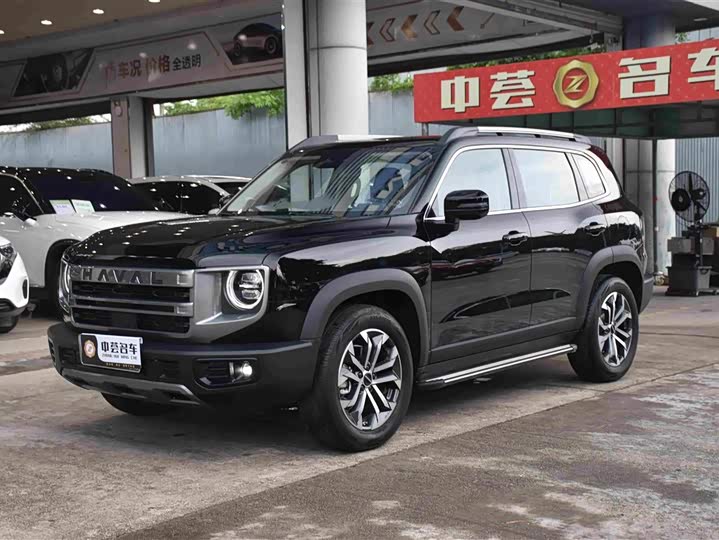 Haval Big Dog 2024 1.5T DCT Border Collie Edition