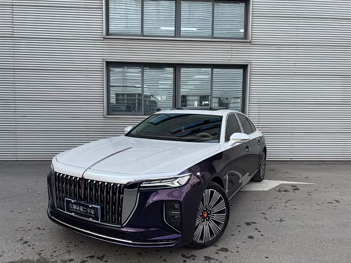 Hongqi H9 2025 2.0T two-wheel drive Qixiang luxury business version 5 seats