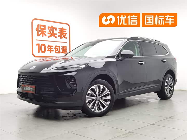 Envision Plus 2025 Envision Plus 28T two-wheel drive platinum version