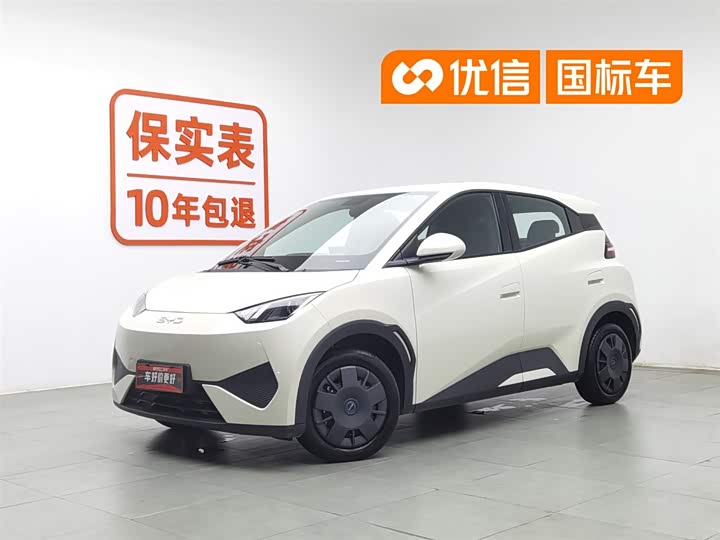 Seagull 2025 Smart Driving Edition 305km Vitality Edition
