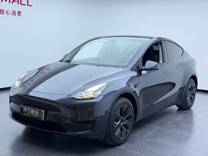 Model Y 2024 rear-wheel drive version