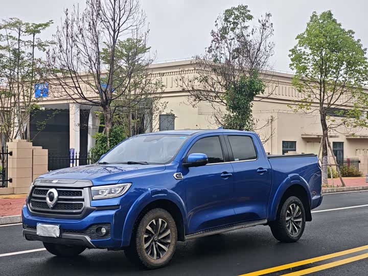 Cannon 2023 2.0T passenger version automatic diesel four-wheel drive comfort model GW4D20M