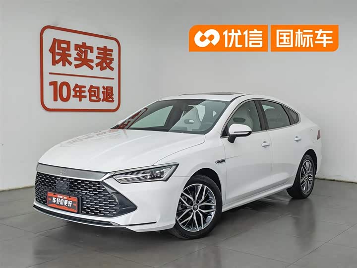 Qin PLUS 2023 Champion Edition DM-i 55KM Transcendent Type