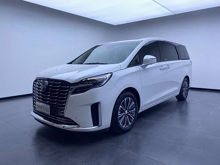 Buick GL8 2023 ES Land Business Luxury