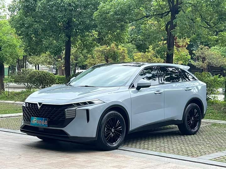 Venucia Big V 2021 260T Idol Edition