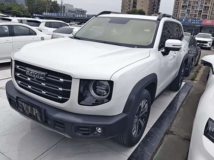 Haval Big Dog 2021 1.5T DCT two-wheel drive Border Collie version